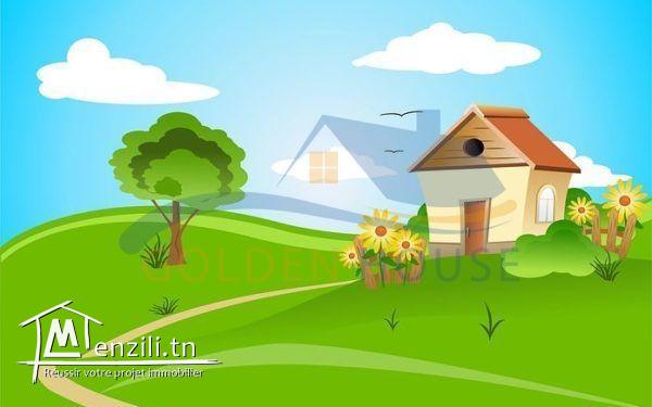 Terrain de 400 m2 A vendre à la marsa