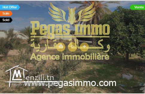 A Vendre un joli Terrain à Tizdiane avec un Titre Bleu