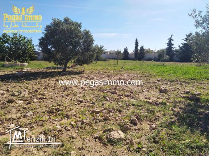 A Vendre un Terrain de 2000 m² a la Zone Touristique