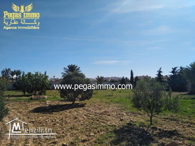 A Vendre un Terrain de 2000 m² a la Zone Touristique