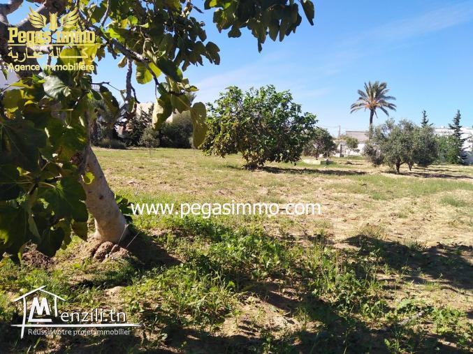 A Vendre un Terrain de 2000 m² a la Zone Touristique