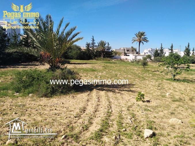 A Vendre un Terrain de 2000 m² a la Zone Touristique