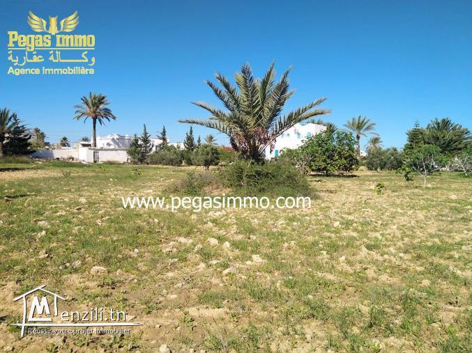 A Vendre un Terrain de 2000 m² a la Zone Touristique