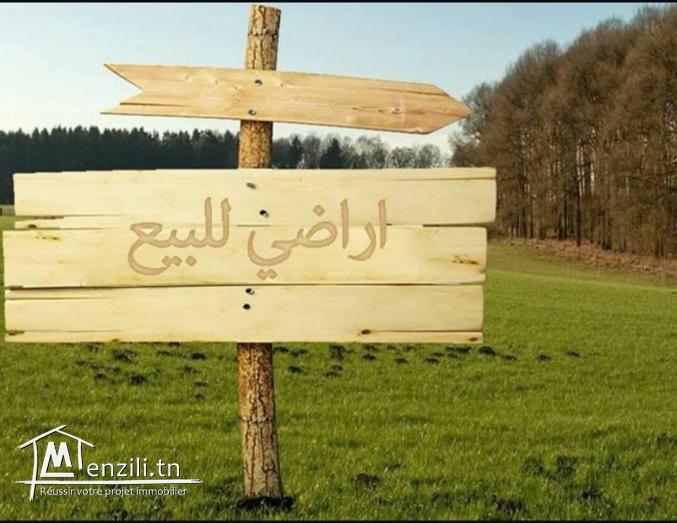 A vendre des lots de terrains à Kélibia - KK188