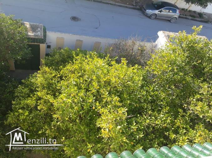 spacieuse villa a vendre