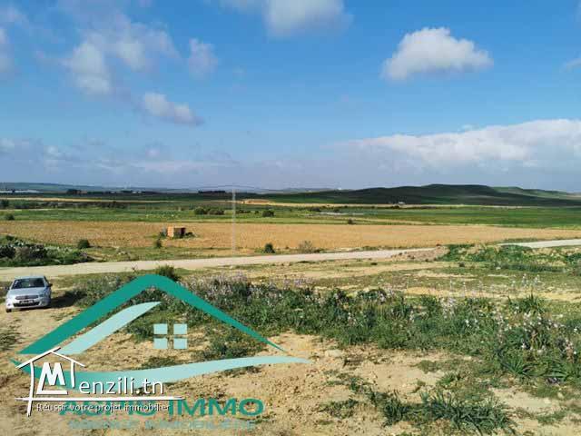 terrain agricole 7200 m² à wed el khatef kelibia