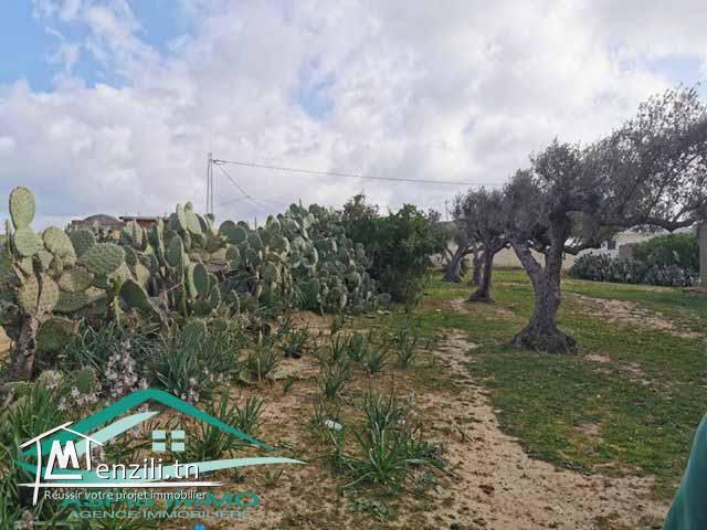 terrain agricole 7200 m² à wed el khatef kelibia