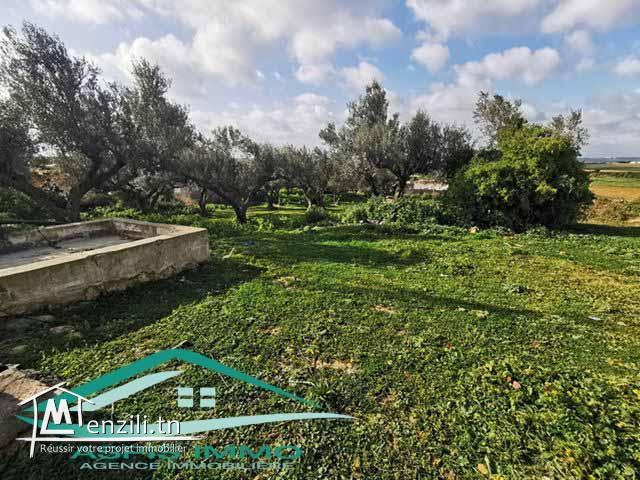 terrain agricole 7200 m² à wed el khatef kelibia
