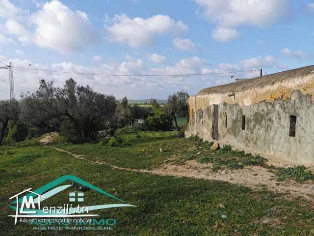 terrain agricole 7200 m² à wed el khatef kelibia