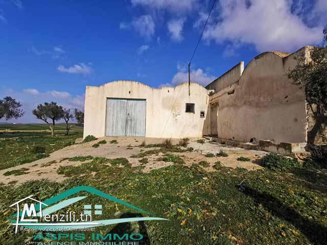 terrain agricole 7200 m² à wed el khatef kelibia