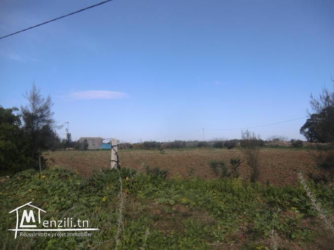 أرض للبيع في قليبية بها بئرومسكن فلاحي