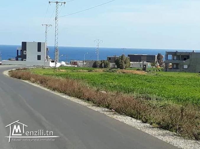 A vendre terrain à Haouaria