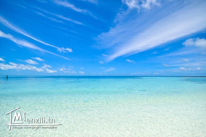 A vendre terrain à Haouaria