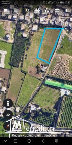 Terrain à vendre 3000m²