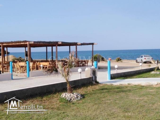 un terrain 300 m de la plage