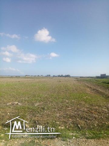 terrain à quelque mètre de la plage