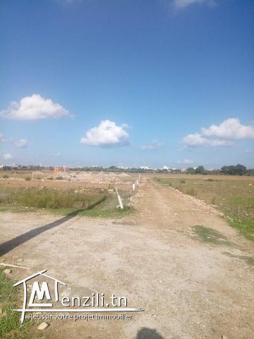 terrain à quelque mètre de la plage