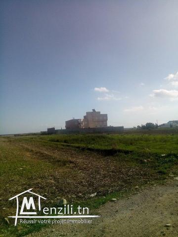 terrain à quelque mètre de la plage