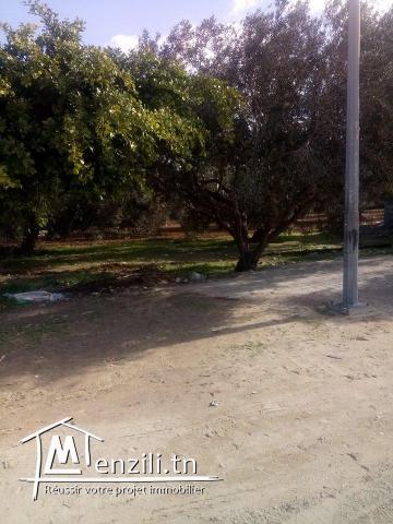 ساحة في حمام البغزاز على الطريق الرئيسي