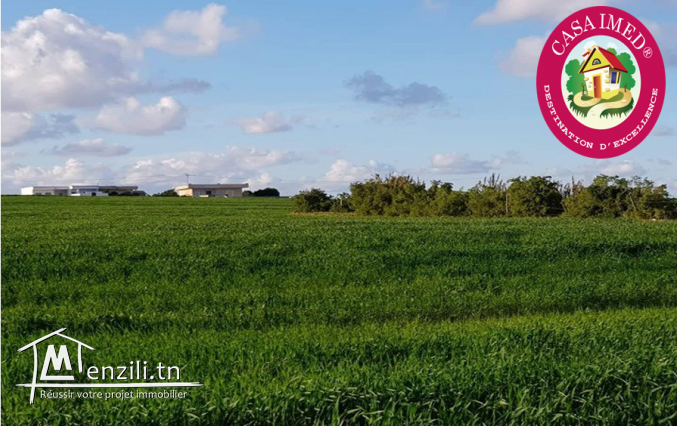 terrain à Menzil Brahim de 250 m2