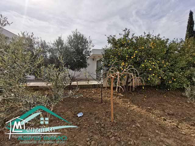 terrain d'habitation 354 m² à jinen el Mansourah Kelibia