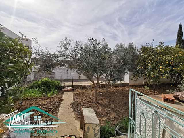 terrain d'habitation 354 m² à jinen el Mansourah Kelibia