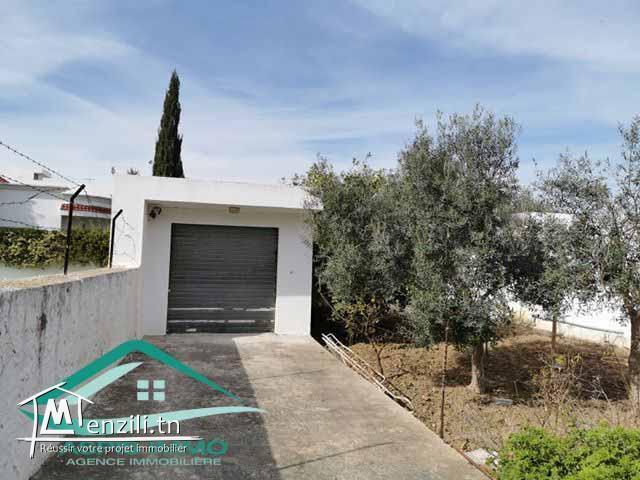 terrain d'habitation 354 m² à jinen el Mansourah Kelibia