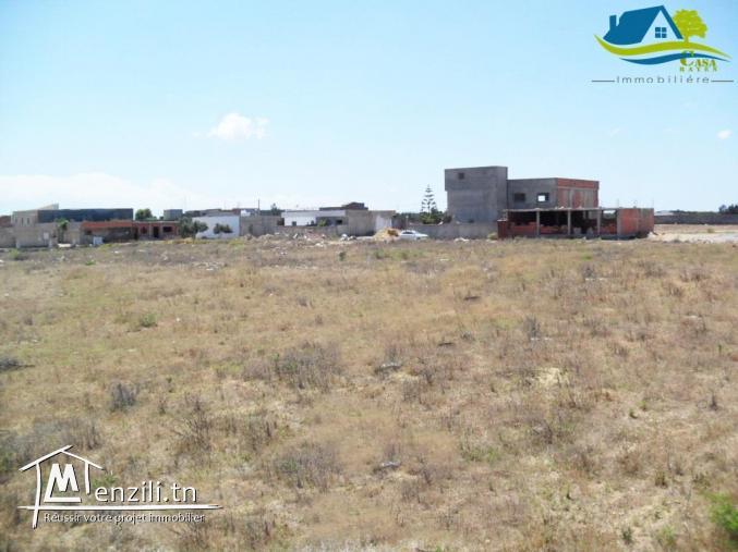 #اراضي #في #قليبية