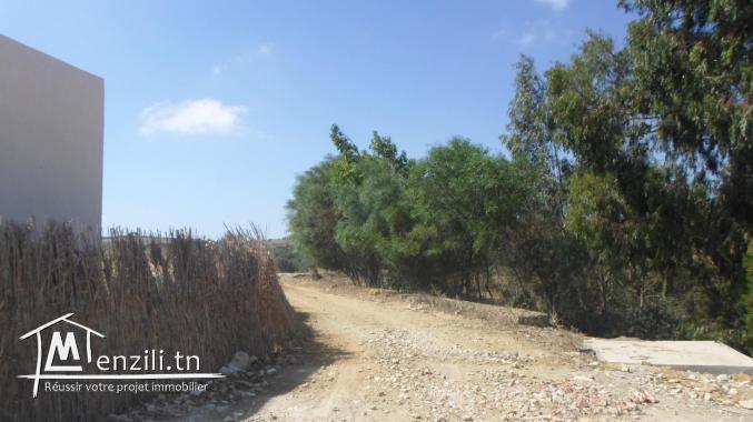 terrain agricole de 9000 m2