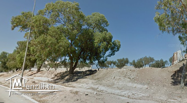 Terrain à ne pas rater