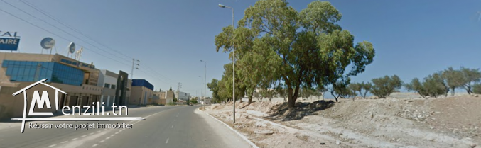 Terrain à ne pas rater