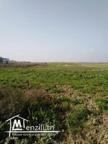 opportunité agricole