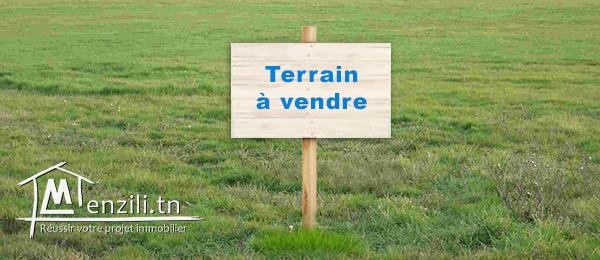 Terrain viabilisé vers la Firma