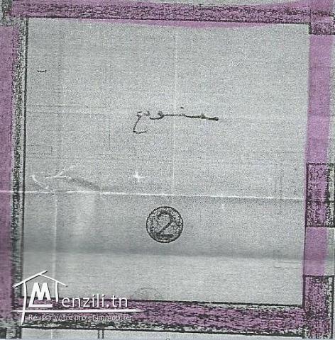 Local commercial  en duplex de 140 m² – Tunis - IFC 2939.