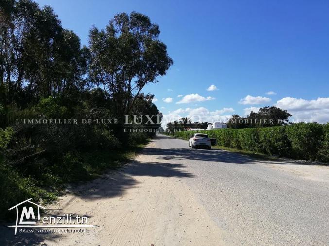 terrain titre bleu a kerkouene / kélibia