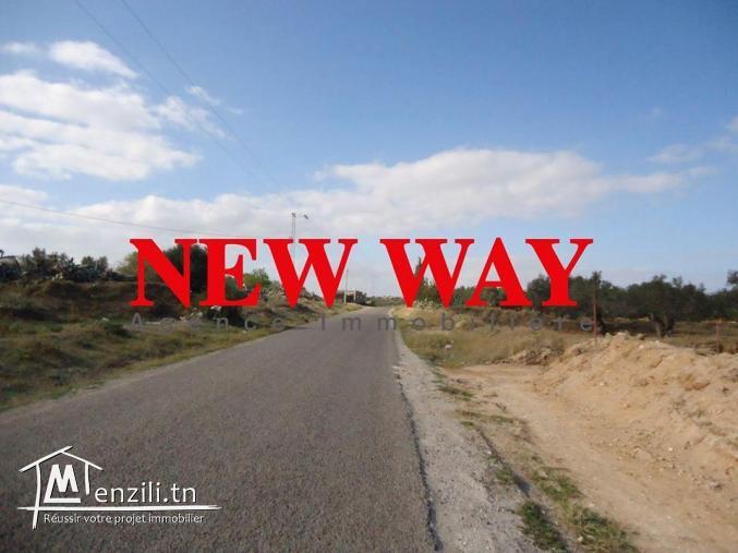 Terrain agricole sur la route principale à kalaà kbira