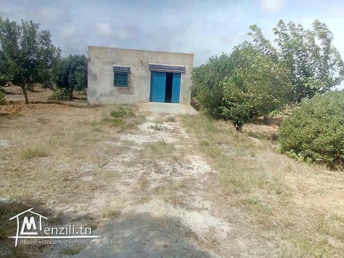 فيرما للبيع 7 هكتارات كاملة التجهيزات