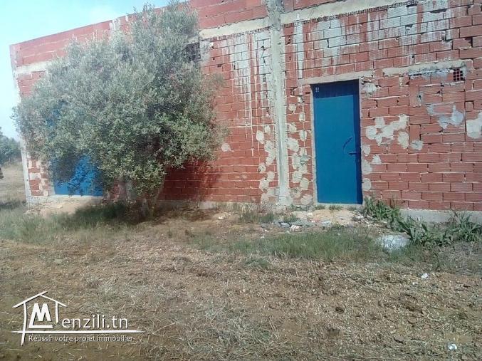 فيرما للبيع 7 هكتارات كاملة التجهيزات