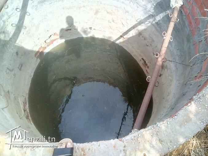 فيرما للبيع 7 هكتارات كاملة التجهيزات