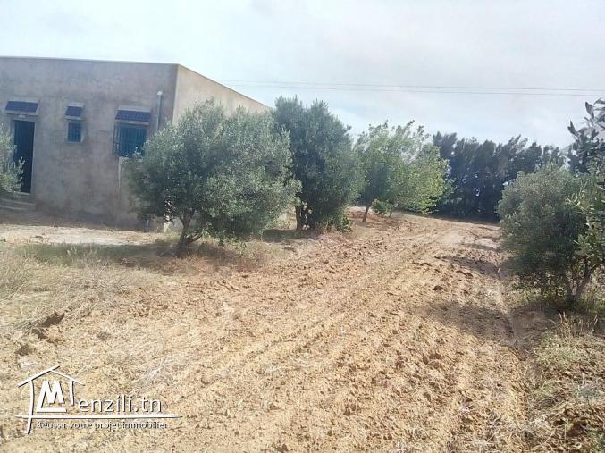 فيرما للبيع 7 هكتارات كاملة التجهيزات