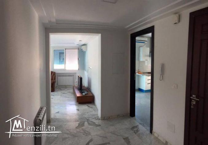 S3 lumineux lac 2 non meublé