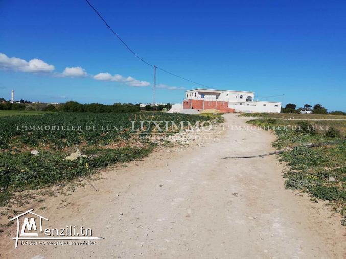 terrain titre bleu kerkouene  kélibia