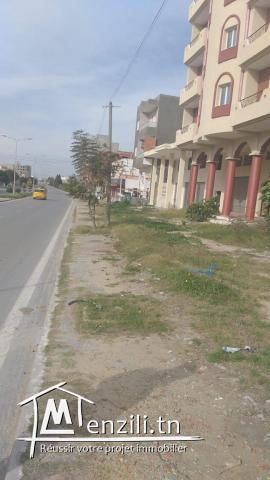 Terrain d’habitation Borj Arif 209 m2