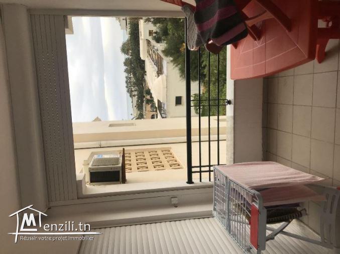 APPARTEMENT SILVER V1207