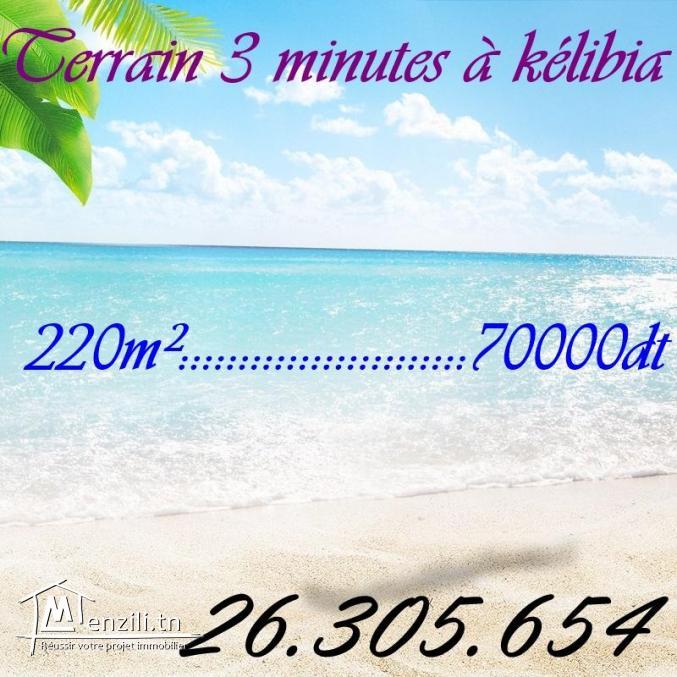 Terrain à "Dar alouch " kélibia