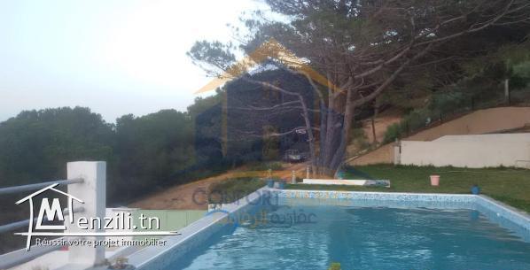 villa meublé à Rafraf