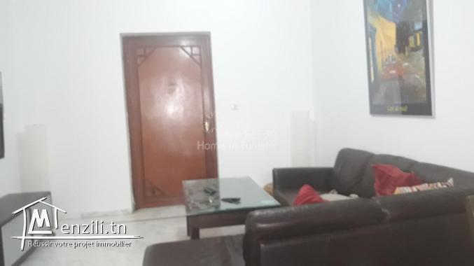 appartement a louer slim centre 