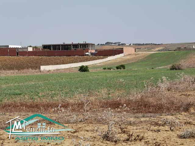 terrain agricole 10540 m² à wed el khatef kelibia