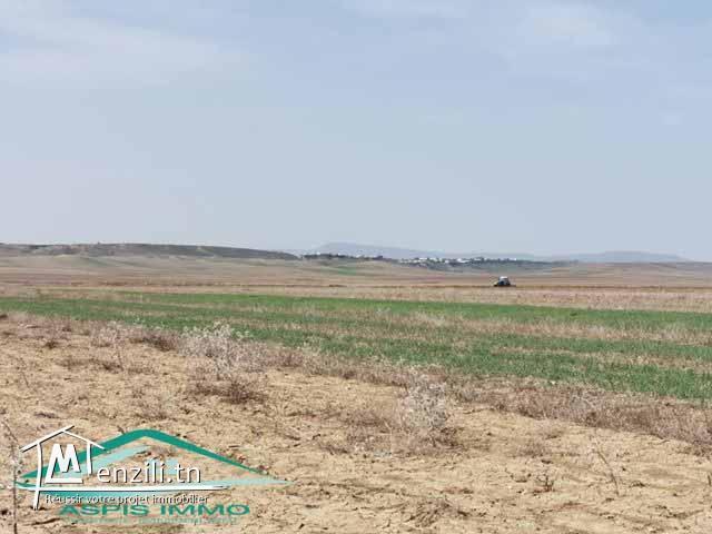 terrain agricole 10540 m² à wed el khatef kelibia
