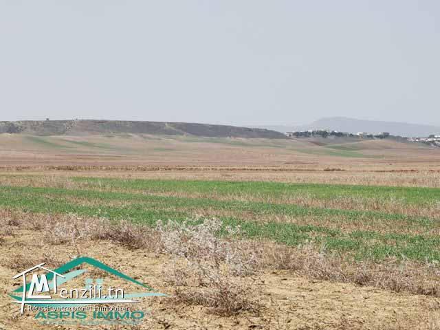 terrain agricole 10540 m² à wed el khatef kelibia